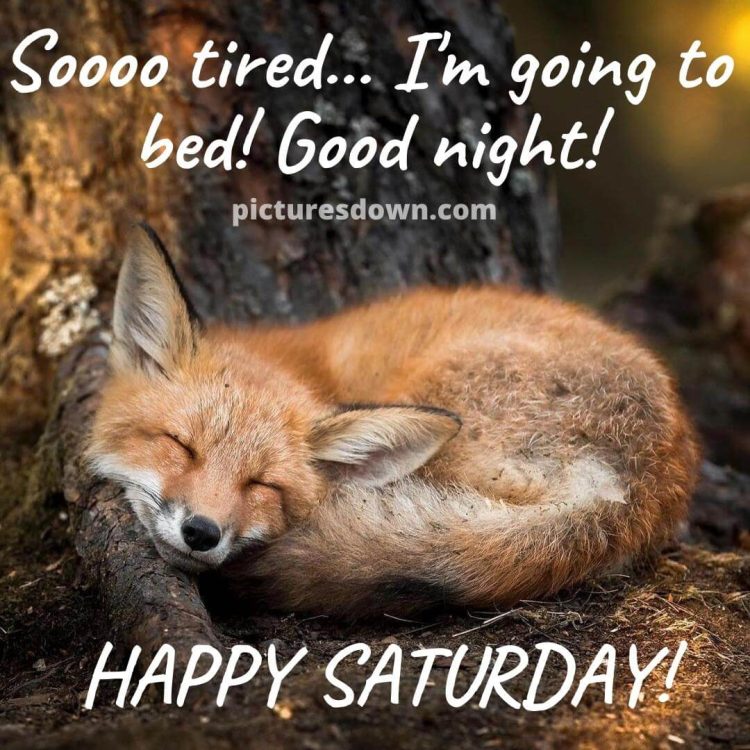 Good night saturday image fox free download