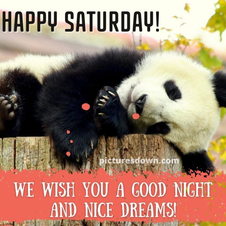 Good night saturday image panda free download