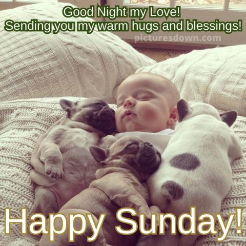 Good night sunday image dogs and child free download