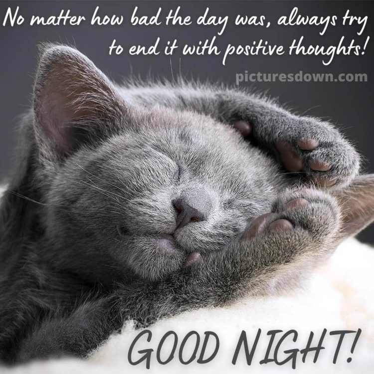 Good night sunday image kitty free download