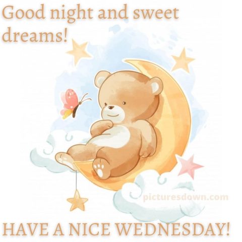 Good night wednesday picture bear free download