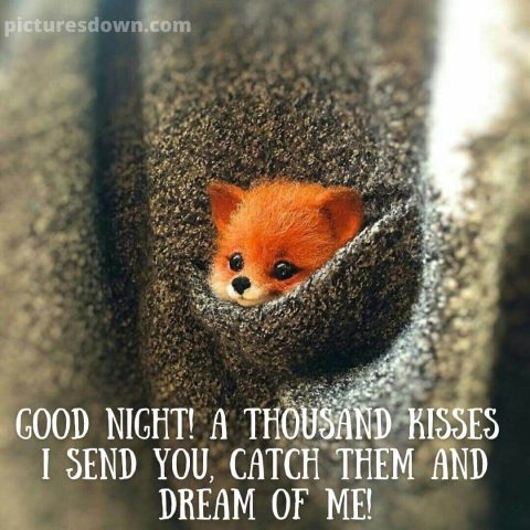 Good night wednesday picture little dog free download