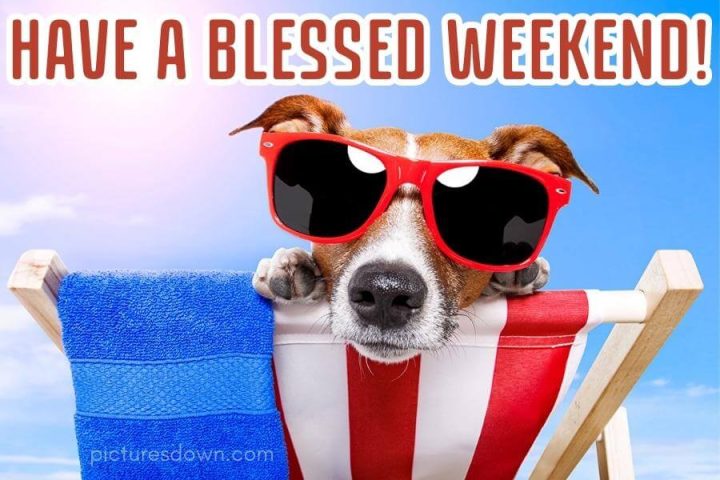 Happy weekend images funny dog with glasses free download