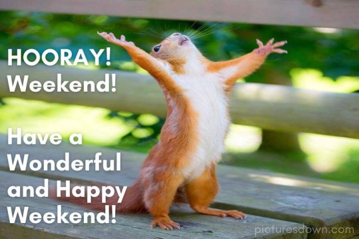 Happy weekend images funny squirrel free download