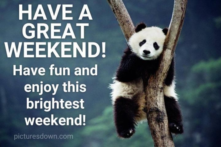 Happy weekend funny picture panda free download