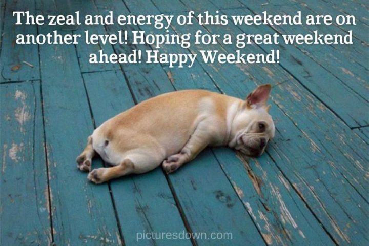 Happy weekend funny picture sleeping dog free download