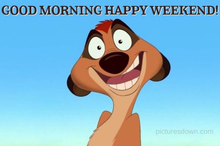 Have a great weekend image funny meerkat free download
