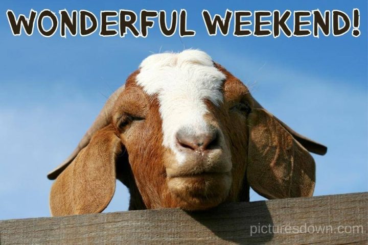 Have a great weekend image funny goat free download