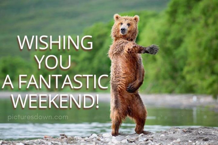Have a great weekend images funny bear free download
