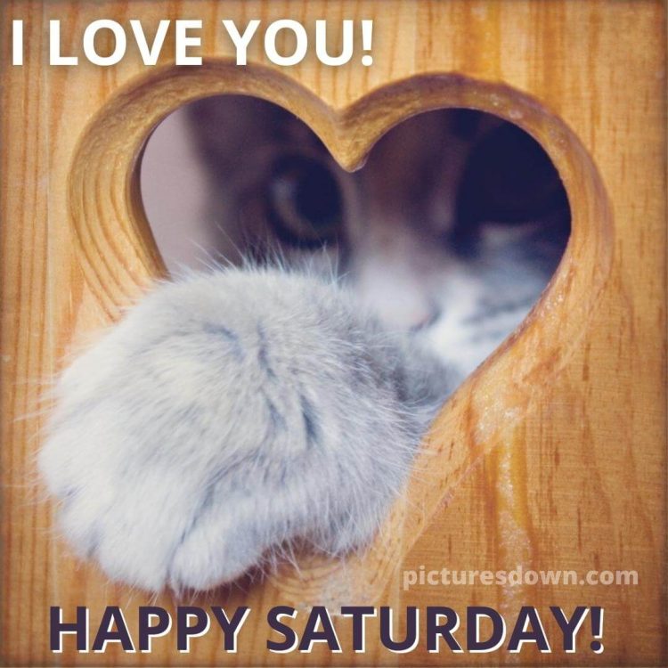 Good morning saturday love image cat free download
