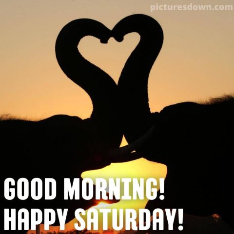 Good morning saturday love image elephants free download