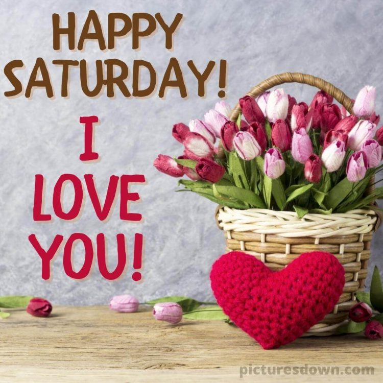 Good morning saturday love image tulips free download