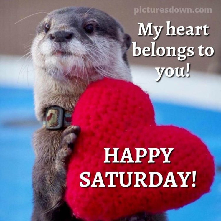 Good morning saturday love image otter free download