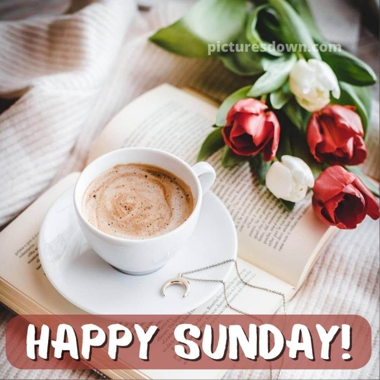 Sunday coffee image tulips free download