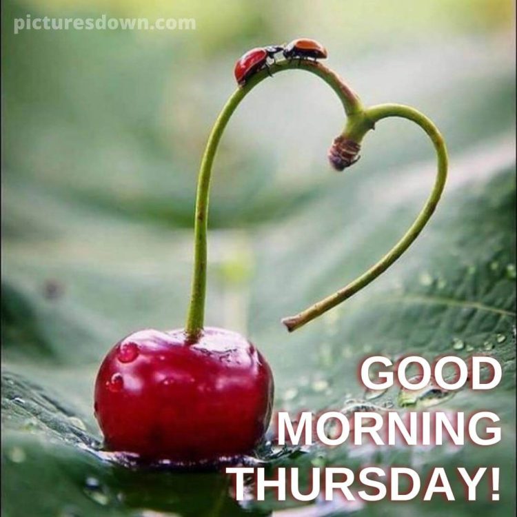 Happy thursday heart image cherry free download