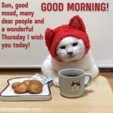 Good morning thursday funny picture cat and coffee free download