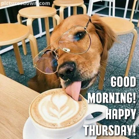 Good morning thursday funny picture dog and coffee free download
