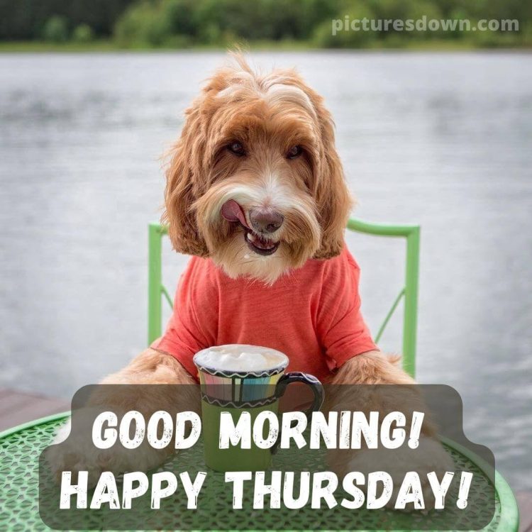 Thursday images funny dog with coffee free download