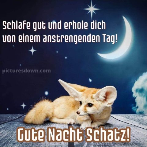 Bild gute nacht Fenech kostenlos