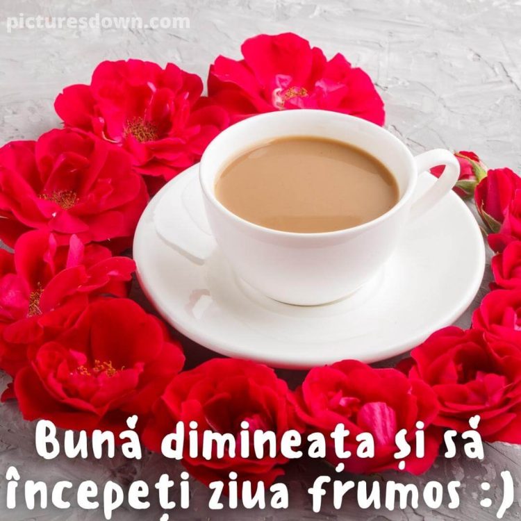 Buna dimineata joi la cafea imagine flori descarcă gratis