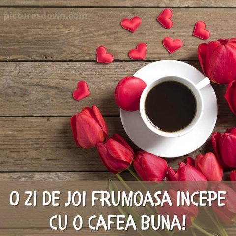 Buna dimineata joi la cafea imagine lalele descarcă gratis