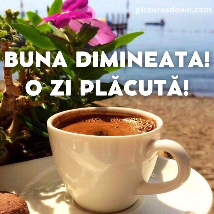 Buna dimineata joi la cafea imagine plajă descarcă gratis