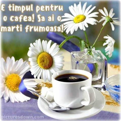 Cafeaua de marti poza muşeţel descarcă gratis