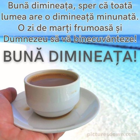 Cafeaua de marti poza mare descarcă gratis