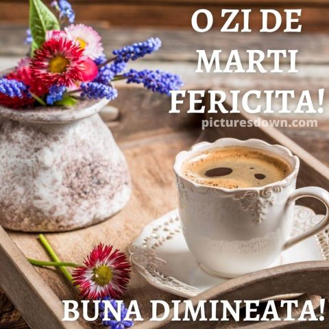 Cafeaua de marti poza flori sălbatice descarcă gratis