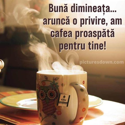 Cafeaua de miercuri poza aromata descarcă gratis