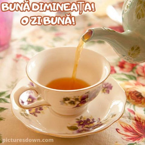buna dimineata ceai imagine roșu descarcă gratis