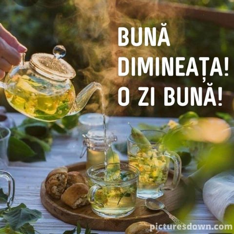 buna dimineata ceai imagine de tei descarcă gratis