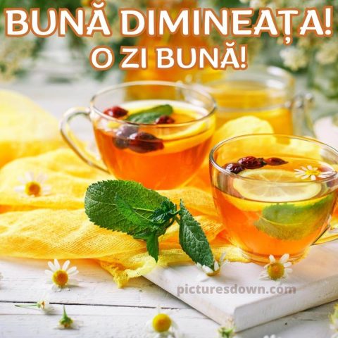 buna dimineata ceai imagine cu fructe uscate descarcă gratis