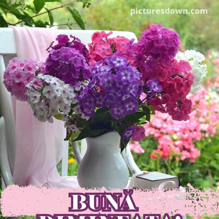 Buna dimineata flori imagine vază descarcă gratis