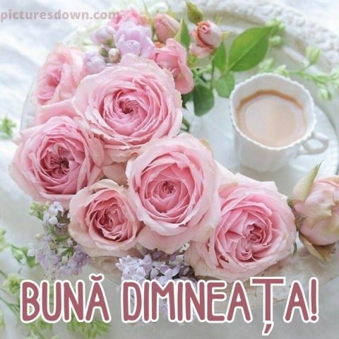 Buna dimineata flori imagine cafea descarcă gratis