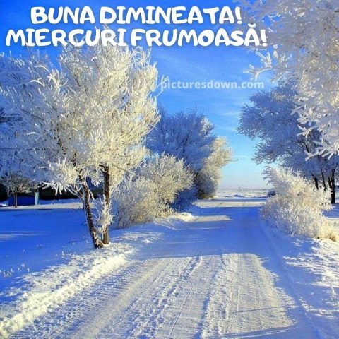 Urari de miercuri dimineata imagine iarna frumoasa descarcă gratis