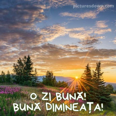 Imagine cu buna dimineata răsărit descarcă gratis