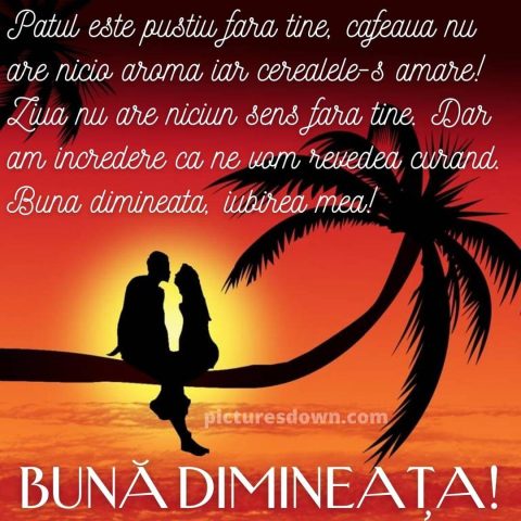 Mesaje de buna dimineata pentru iubita palmier descarcă gratis