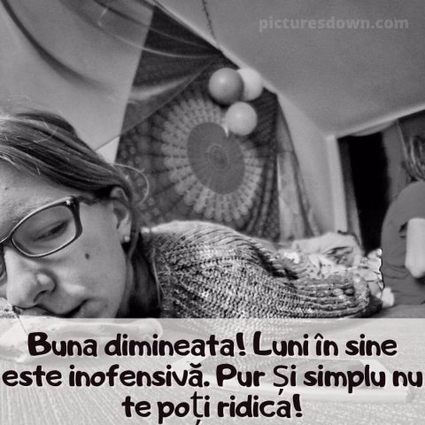 Buna dimineata luni haioase imagine fata in pat descarcă gratis