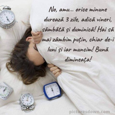Buna dimineata luni haioase imagine ceasuri cu alarmă descarcă gratis