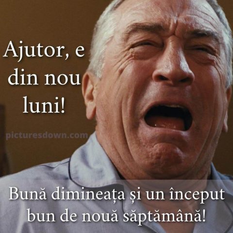 Buna dimineata luni haioase imagine strigăt descarcă gratis