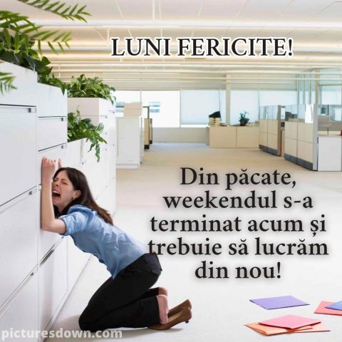 Buna dimineata luni haioase imagine birou descarcă gratis