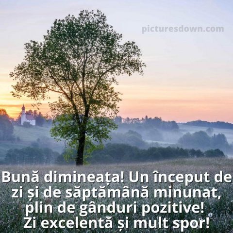 Buna dimineata luni imagine abur de dimineață descarcă gratis