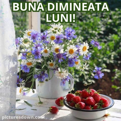 Buna dimineata luni imagine căpșună descarcă gratis