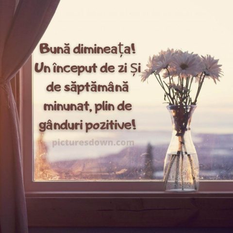 Luni dimineata trezirea imagine muşeţel descarcă gratis