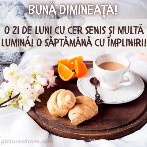 Luni dimineata trezirea imagine mic dejun descarcă gratis