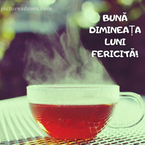 Mesaje de luni dimineata poza ceai descarcă gratis