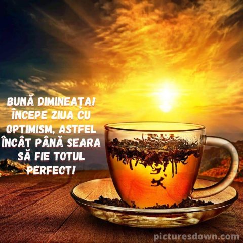 Mesaje de luni dimineata poza ceai rosu descarcă gratis