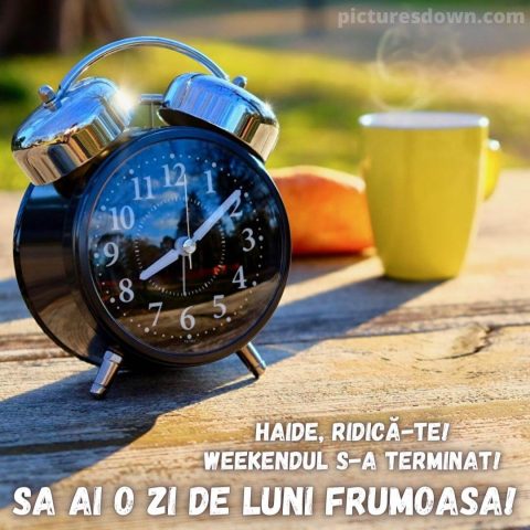 Mesaje de luni dimineata poza alarma descarcă gratis