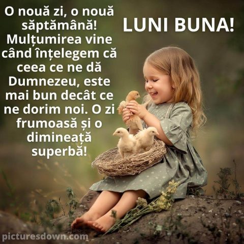 Buna dimineata luni imagine fată și găini descarcă gratis